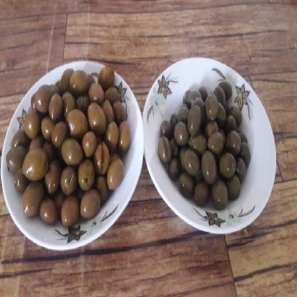 زیتون ارگانیک خانگی